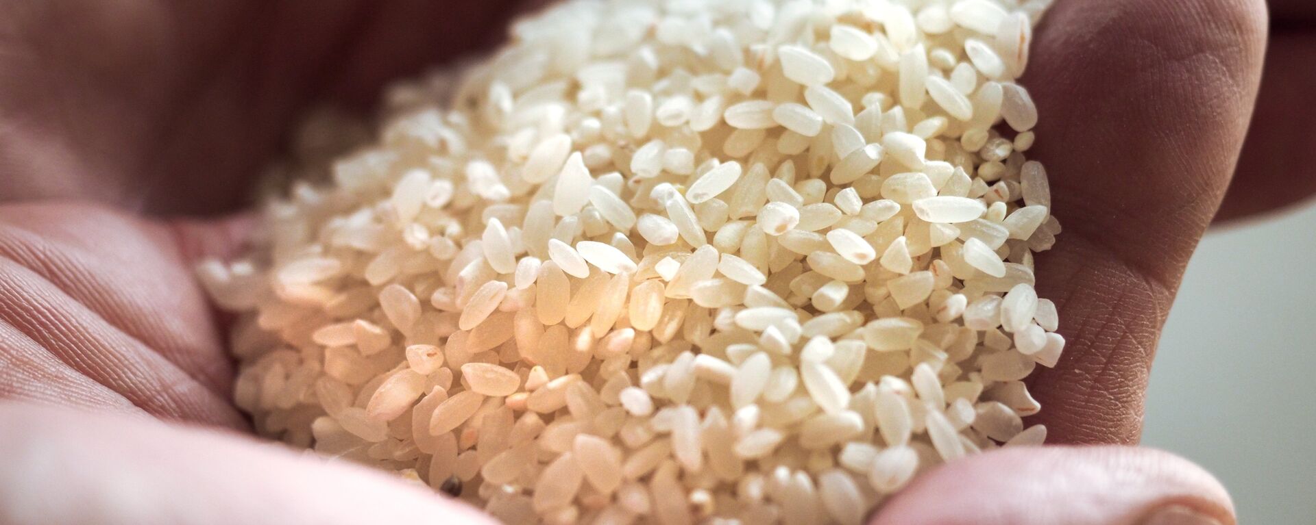 نيجيريا تصادر كميات كبيرة من الأرز البلاستيكية - سبوتنيك عربي, 1920, 15.04.2021