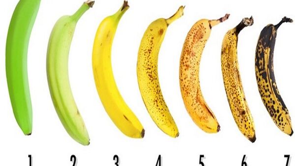 ما هو الموز الأفضل - سبوتنيك عربي
