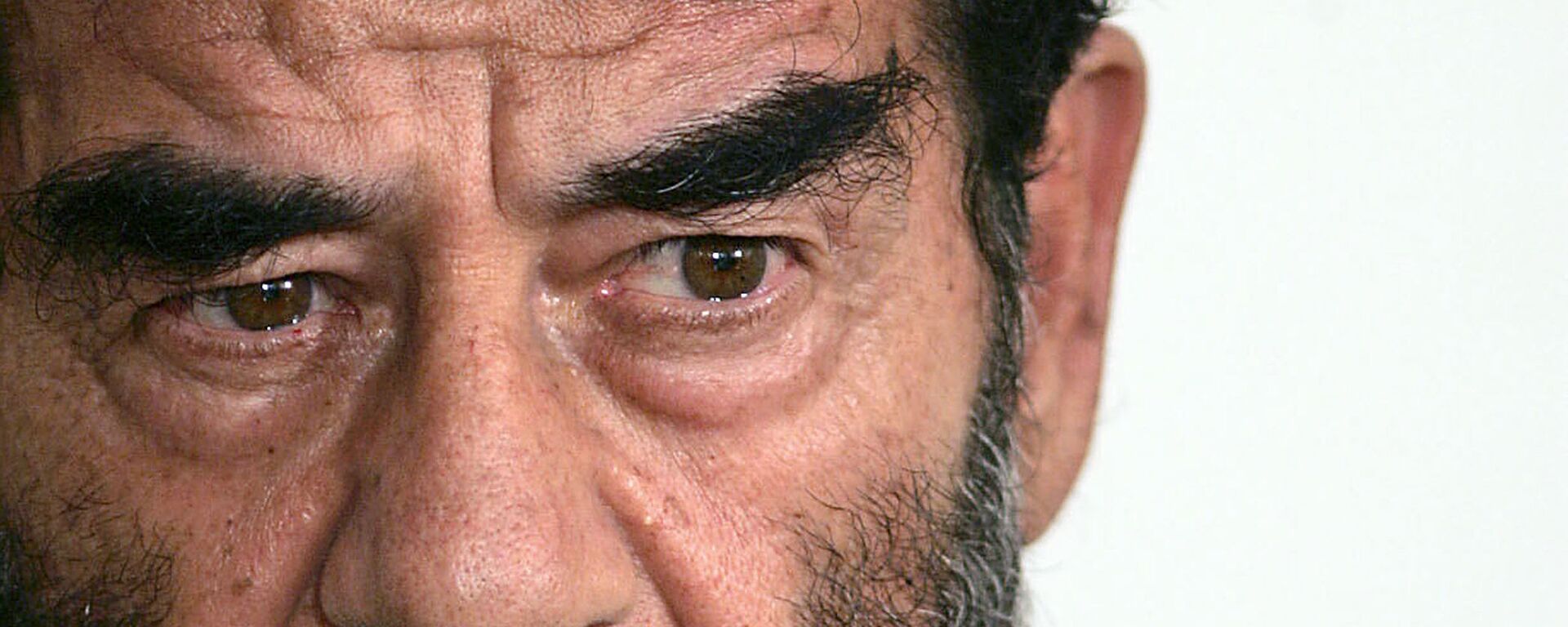  الرئيس العراقي السابق صدام حسين لحظة وقوفه أمام القاضي خلال جلسة الاستماع الأولى في المحكمة في بغداد، 1 يوليو/ تموز 2004 - سبوتنيك عربي, 1920, 03.01.2023
