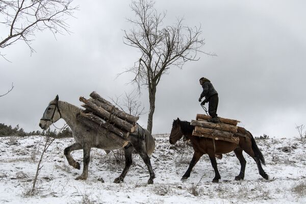 حطاب يركب عربة حصان بالقرب من صوفيا، بلغاريا 28 ديسمبر/ كانون الأول 2016 - سبوتنيك عربي