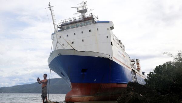 صورة سيلفي على خلفية سفينة كبيرة، الفلبين 26 ديسمبر/ كانون الأول 2016 - سبوتنيك عربي