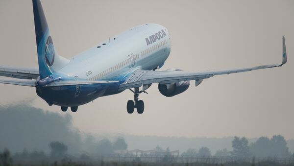 طائرة بوينغ 737-800 - سبوتنيك عربي
