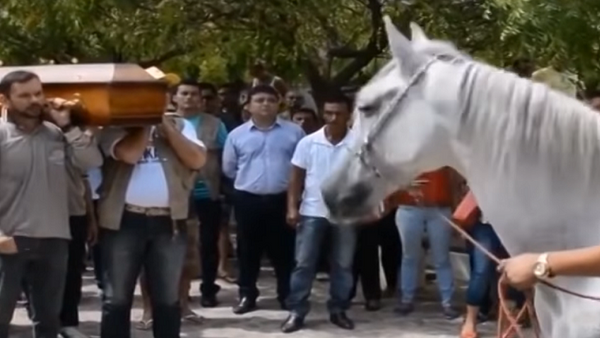حصان يبكي في جنازة صاحبه المتوفي - سبوتنيك عربي