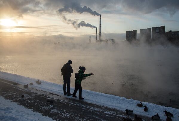 أشخاص يقفون على ضفة بحيرة كوجوخوفسكي بموسكو ويطعمون طيور البط، ودرجة الحرارة 24 تحت الصفر - سبوتنيك عربي