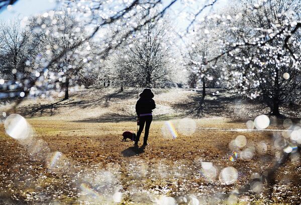 امرأة تتجول مع كلبها بالقرب من أشجار يغطيها الثلج في حديقة أتلانتا، الولايات المتحدة 7 يناير/ كانون الثاني 2017 - سبوتنيك عربي