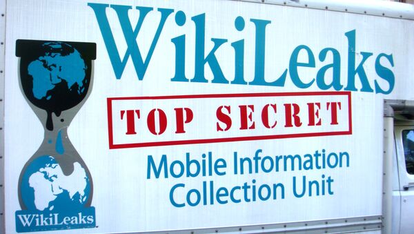 Логотип Wikileaks на фургоне автомобиля - سبوتنيك عربي