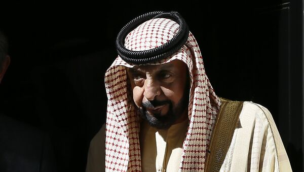 رئيس الإمارات الشيخ خليفة بن زايد آل نهيان - سبوتنيك عربي