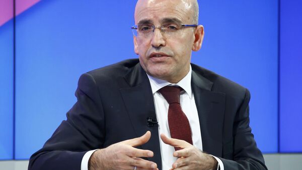 نائب رئيس الوزراء التركي محمد شيمشك - سبوتنيك عربي