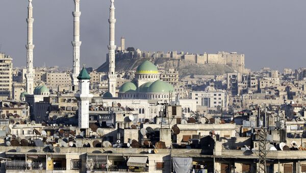 منظر مطل على قل حلب وجامع الرئيس - سبوتنيك عربي