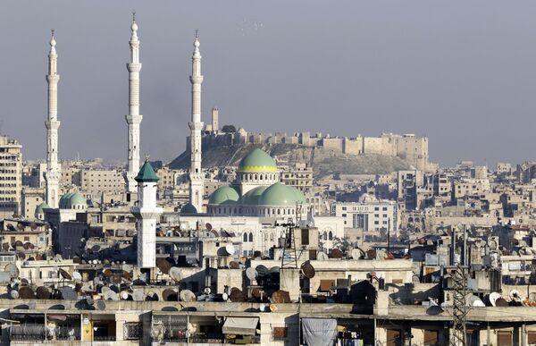 منظر مطل على قلب حلب وجامع الرئيس - سبوتنيك عربي