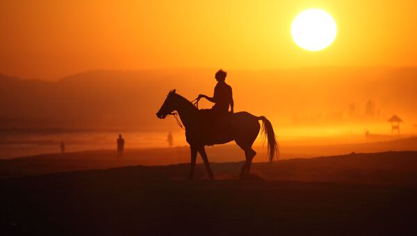 خيال الحصان، صلالة في عُمان- للمصور ستيورات دان المشارك في مسابقة National Geographic Traveller-2017 - سبوتنيك عربي