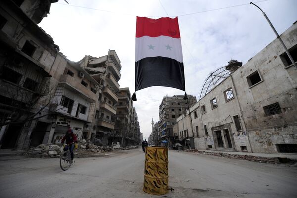 العلم السوري في حلب، سوريا 30 يناير/ كانون الثاني 2017 - سبوتنيك عربي