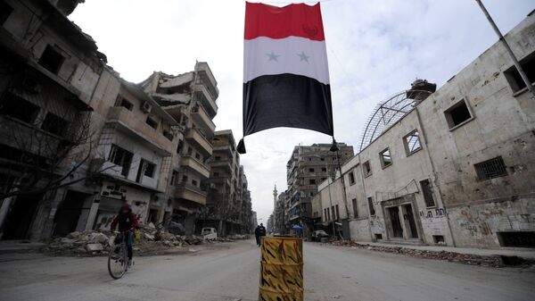 العلم السوري في حلب، سوريا 30 يناير/ كانون الثاني 2017 - سبوتنيك عربي