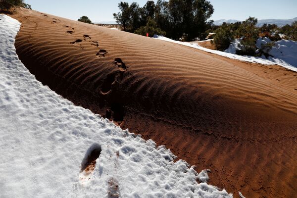 ثلوج تغطي الأطلس الصحراوي في شرق الجزائر، 25 يناير كانون الثاني 2017 - سبوتنيك عربي