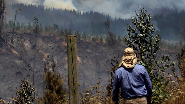 حريق الغابة في تشيلي - سبوتنيك عربي
