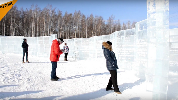 افتتاح أول مكتبة مصنوعة من الجليد في العالم في روسيا - سبوتنيك عربي