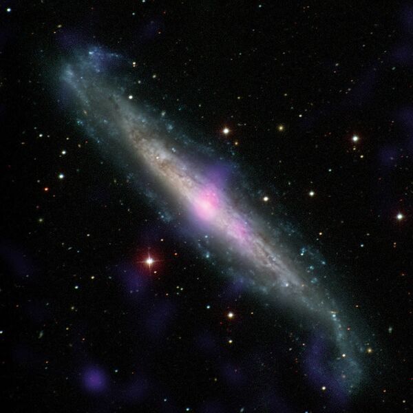 المجرة  NGC 1448  ذات نواة نشطة - سبوتنيك عربي