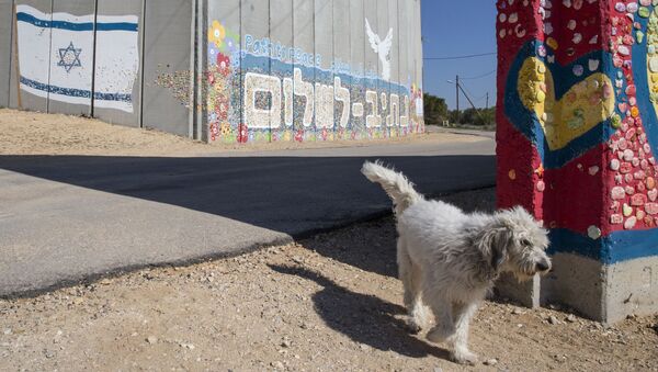 الجدار الفاصل في كيبوتس نيتيف هاسارا على الحدود بين إسرائيل وقطاع غزة، 7 فبراير/ شباط 2017 - سبوتنيك عربي