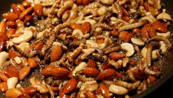 حلوى الحشرات - سبوتنيك عربي