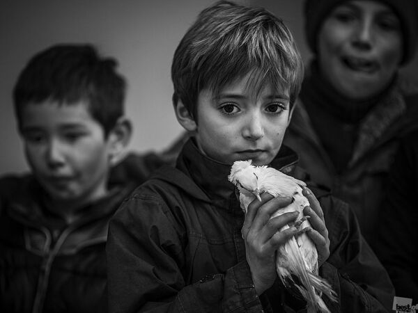 صورة بعنوان الصبي والحمامة، روسيا - للمصور أندري أوستينوفيتش - سبوتنيك عربي