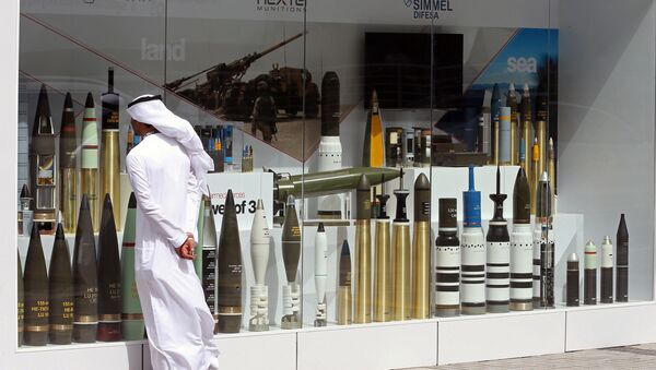 زائر في  معرض آيدكس الدولي للسلاح والمعدات العسكرية في أبو ظبي، الإمارات العربية المتحدة 19 فبراير/ شباط 2017 - سبوتنيك عربي