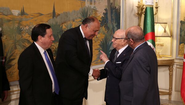 وزراء خارجية مصر وتونس والجزائر بجانب الرئيس التونسي الباجي قايد السبسي - سبوتنيك عربي