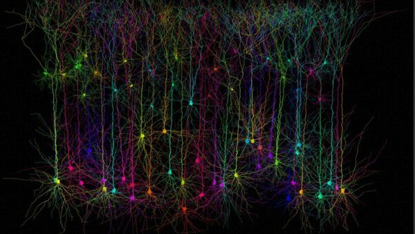 تفاعل بين الخلايا العصبية - سبوتنيك عربي