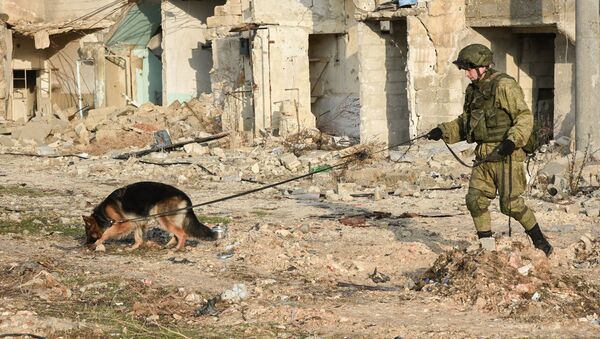 فريق من المهندسين التقنيين الروس لإزالة الألغام، التابع لقوات الجيش الروسية، في مدينة حلب، سوريا - سبوتنيك عربي