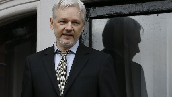 Wikileaks founder Julian Assange speaks from the balcony of the Ecuadorean Embassy in London (File) - سبوتنيك عربي