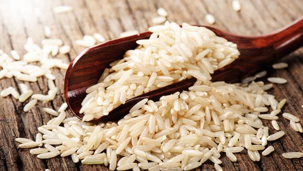أرز - سبوتنيك عربي