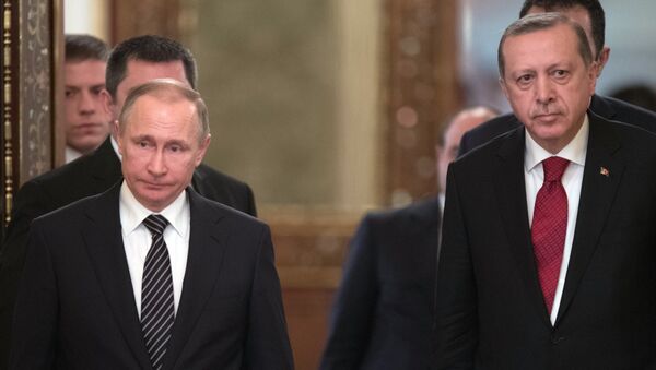 االرئيس الروسي والتركي - سبوتنيك عربي