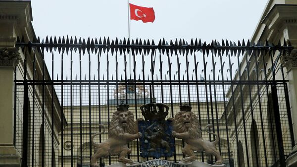 رفع العلم التركي على السفارة الهولندية - سبوتنيك عربي