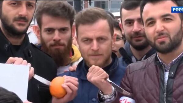 مظاهرات تركية ضد هولندا - سبوتنيك عربي