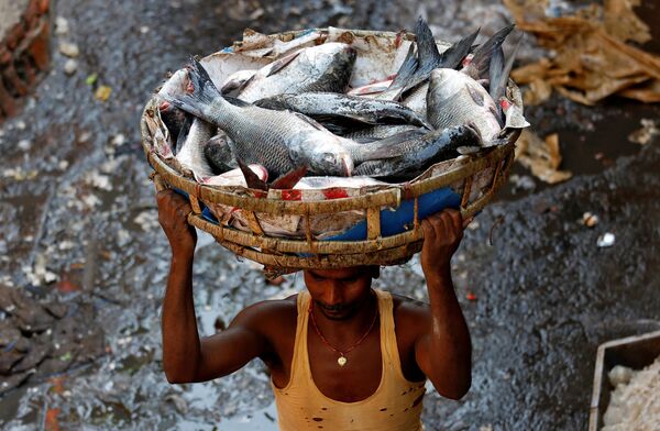 رجل يحمل سلة من السمك فوق رأسه في إحدى ضواحي كلكوتا، الهند 15 مارس/ آذار 2017 - سبوتنيك عربي