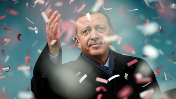 الرئيس التركي رجب طيب إردوغان خلال مظاهرة في اسطنبول تندد بأفعال هولندا الأخيرة، تركيا 11 مارس/ آذار 2017 - سبوتنيك عربي