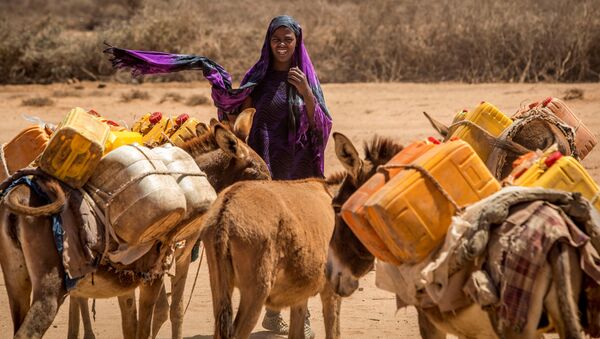 امرأة تقود الحمير التي تحمل وعاء لتعبئة المياه، صورة التقطت من قبل جمعية الصليب الأحمر، الصومال 15 مارس/ آذار 2017 - سبوتنيك عربي