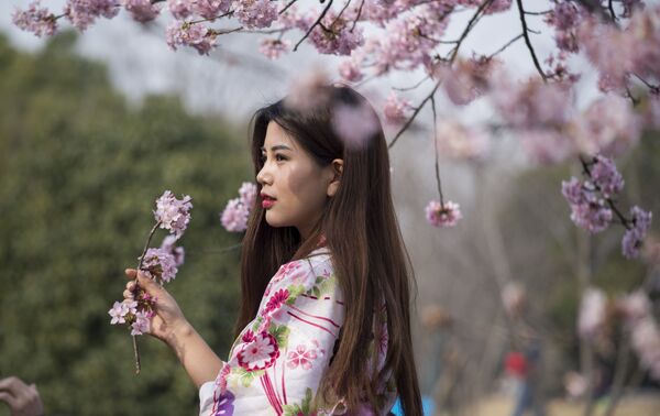 فتاة في زي تقليدي تحمل زهرة ساكورا (أزهار الكرز) في حديقة بشنغهاي، الصين 4 مارس/ آذار 2017 - سبوتنيك عربي