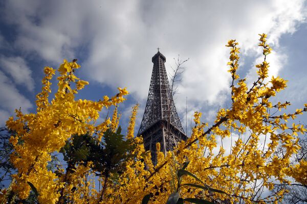 الربيع في باريس، فرنسا 14 مارس/ آذار 2017 - سبوتنيك عربي