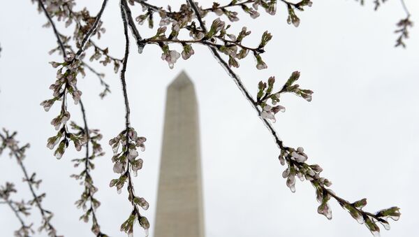 الربيع في واشنطن،  الولايات المتحدة 18 مارس/ آذار 2017 - سبوتنيك عربي