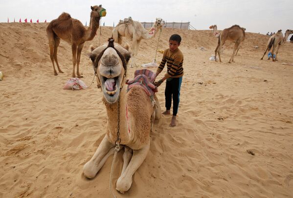 سباق الجمال في مصر - سبوتنيك عربي