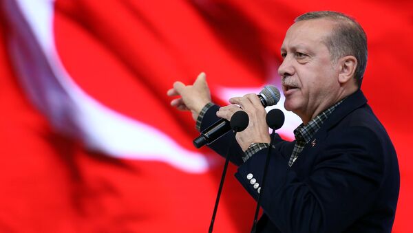رئيس تركيا رجب طيب إردوغان في اسطنبول - سبوتنيك عربي