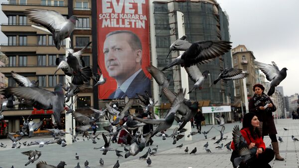 صورة لرئيس تركيا رجب طيب إردوغان في ميدان تقسيم في اسطنبول، 15 مارس/ آذار 2017 - سبوتنيك عربي