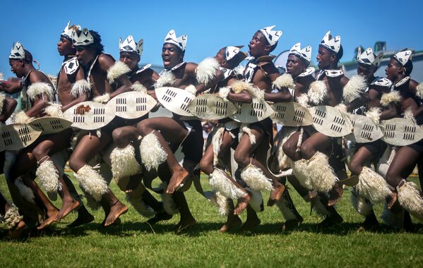 راقصو زولو يرتدون اللباس التقليدي خلال المسابقة السنوية السابعة للرقص Ingoma Dance في ديربان، جنوب أفريقيا 21 مارس/ آذار 2017 - سبوتنيك عربي