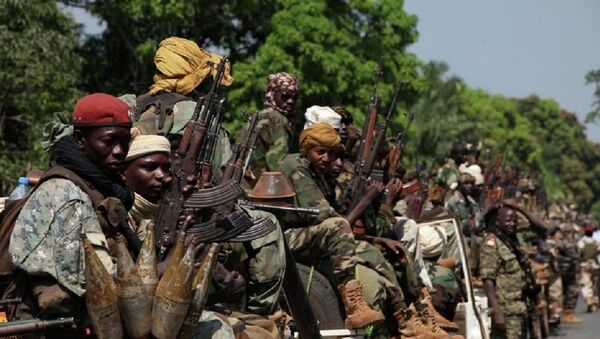 مقاتلين في أفريقيا الوسطى - سبوتنيك عربي