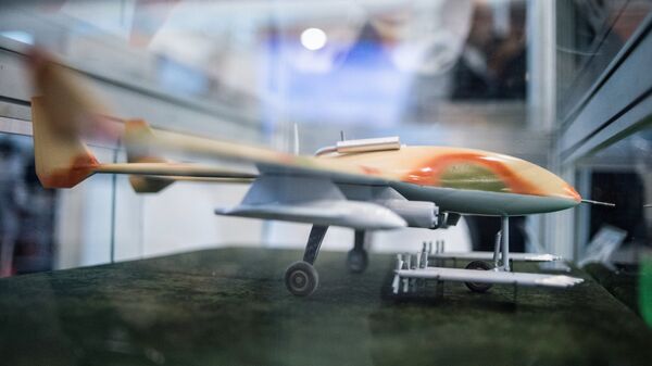 نموذج مصغر لطائرة حربية بدون طيار - سبوتنيك عربي