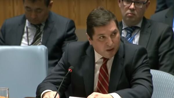 السفير الروسي لدى الأمم المتحدة فلاديمير سافرونكوف - سبوتنيك عربي