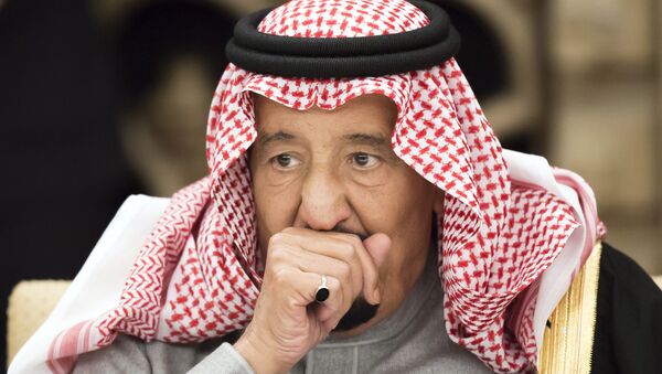 الملك السعودي سلمان بن عبد العزيز - سبوتنيك عربي