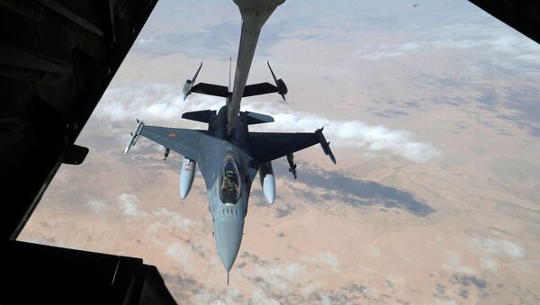 القوات الجوية الأمريكية - سبوتنيك عربي