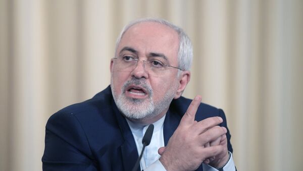 وزير الخارجية الإيراني محمد جواد ظريف - سبوتنيك عربي