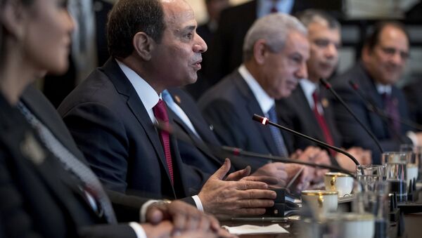رئيس مصر عبدالفتاح السيسي في الولايات المتحدة، 3 أبريل/ نيسان 2017 - سبوتنيك عربي